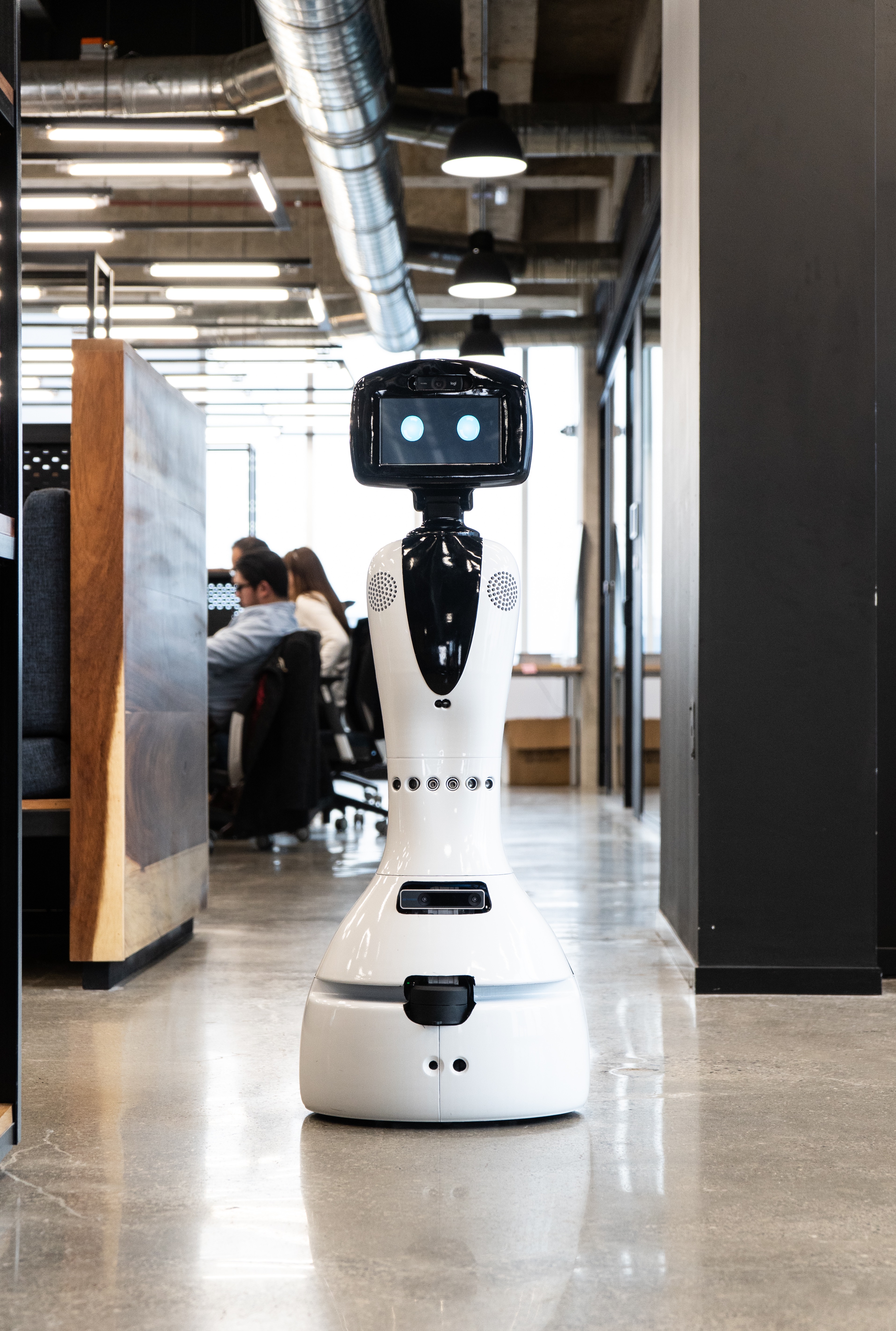 RoomieBot