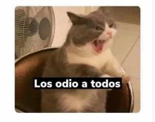 Trabajo tóxico
